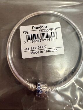 Pandora Silver Bracelet with Blue-Accented Spacer Charm